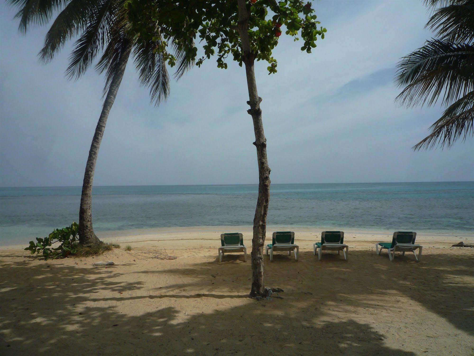 La Dolce Vita Residence Las Terrenas Einrichtungen foto